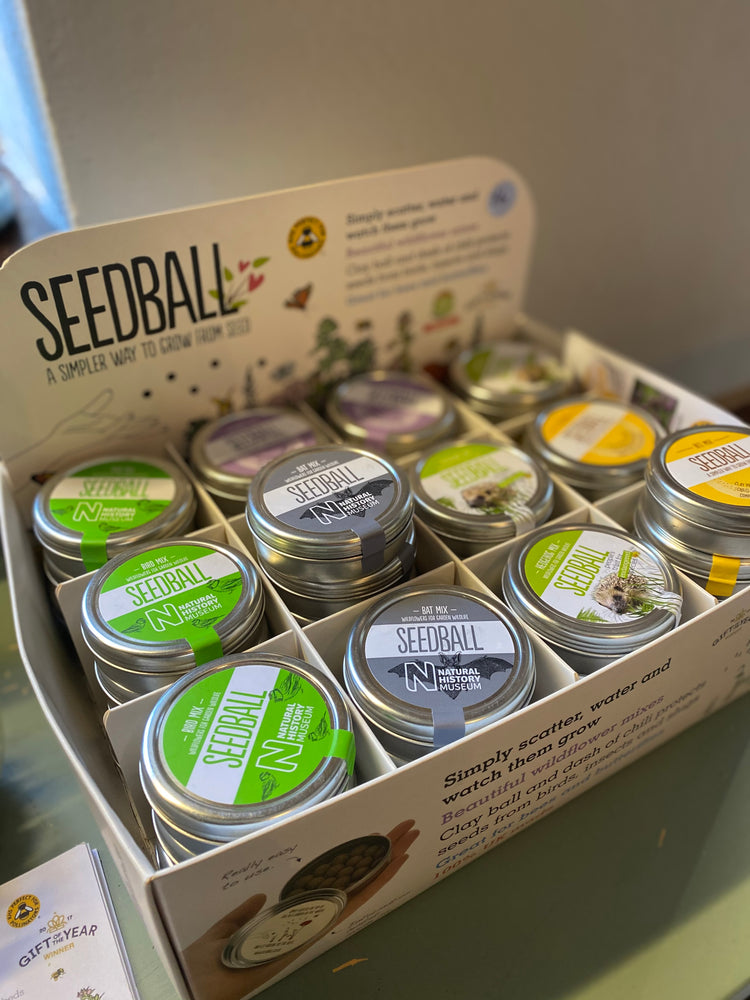 Seed Balls