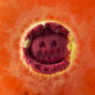 Halloween Bath Bomb