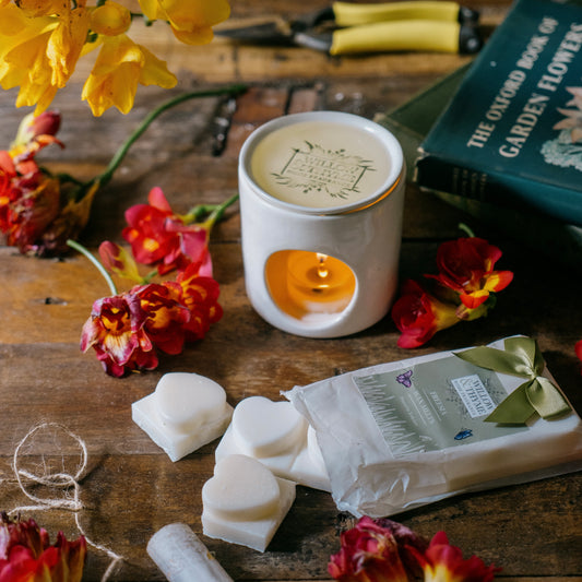 Freesia Wax Melt
