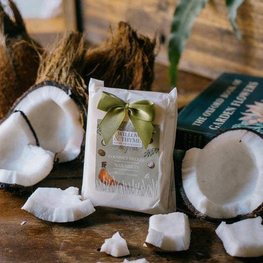 Coconut Breeze Wax Melt