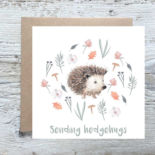 Sending Hedgehugs