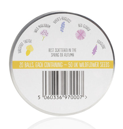 Bee Mix - Seedballs