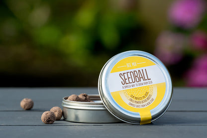 Bee Mix - Seedballs